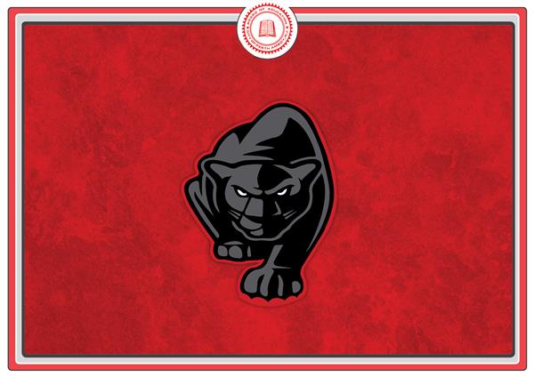 PAHS Panthers